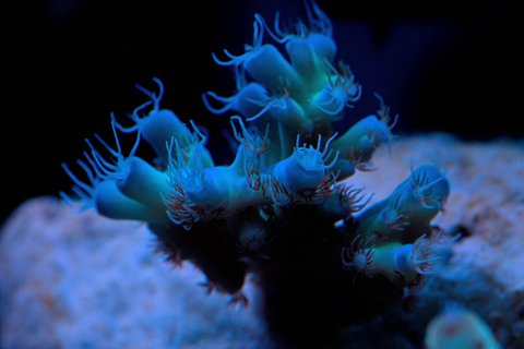 IMG_3307.JPG