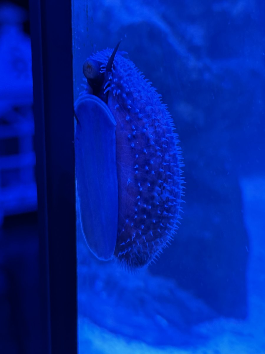 IMG_3308.jpeg