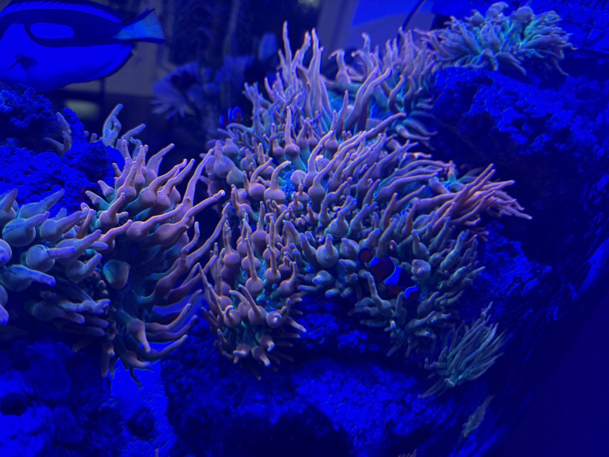 IMG_3315.jpeg