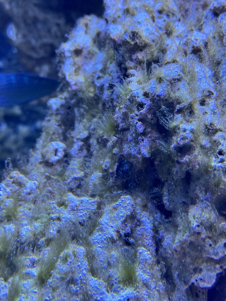 IMG_3337.jpeg