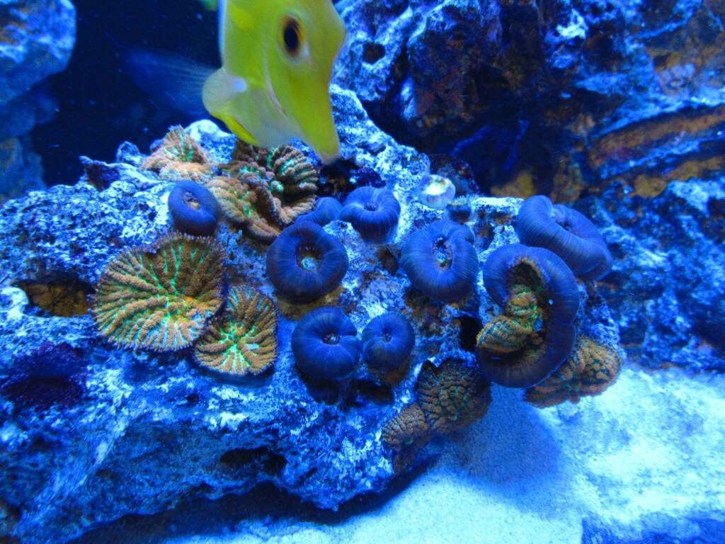 IMG_3337.jpeg