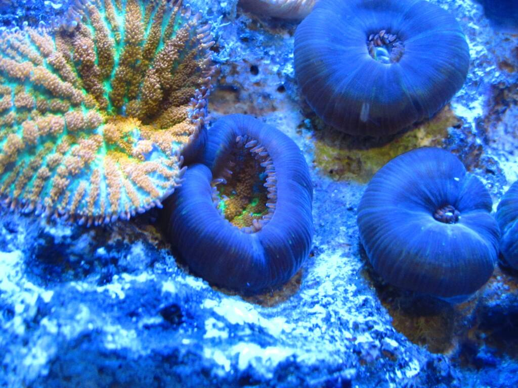 IMG_3340.jpeg