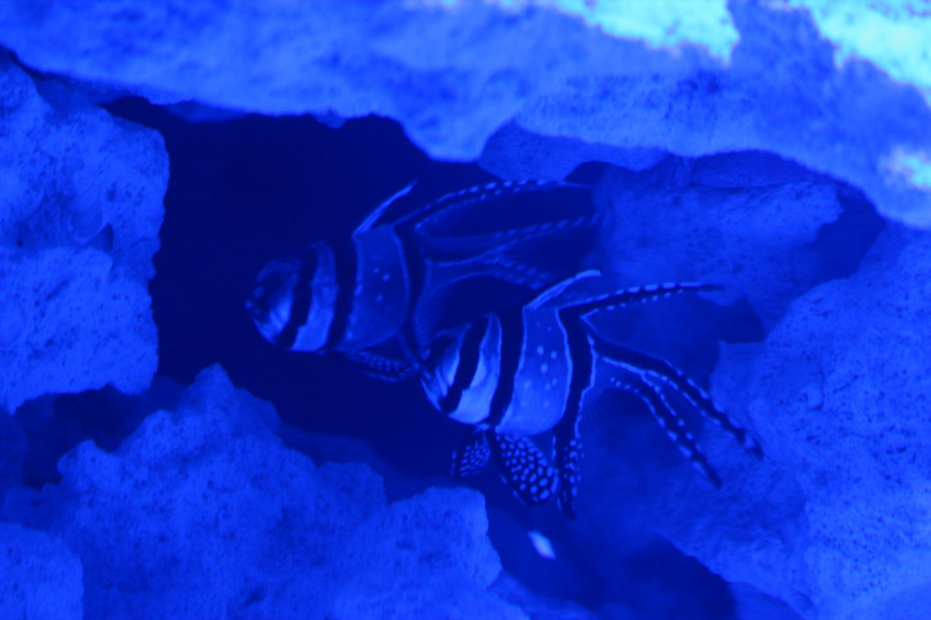 IMG_3343.jpg