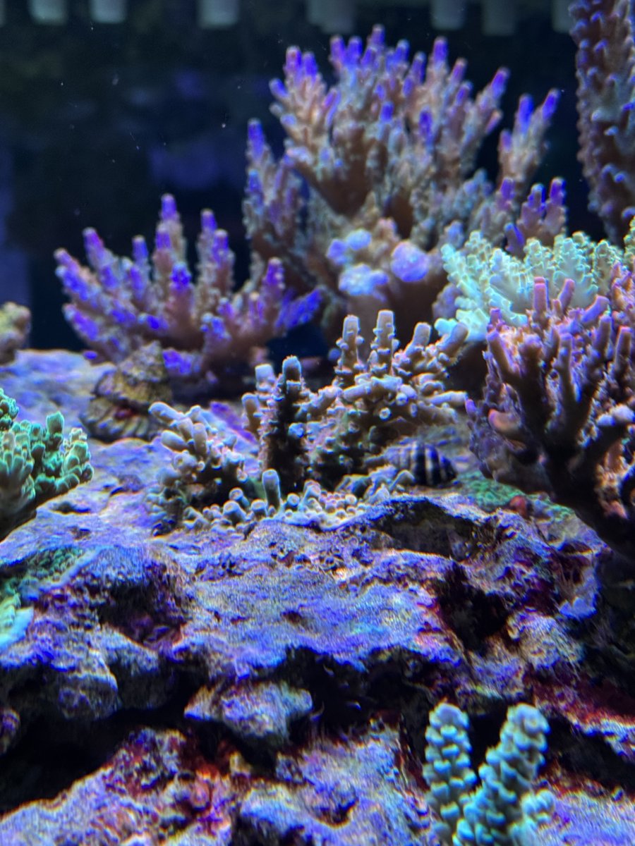 IMG_3345.jpeg