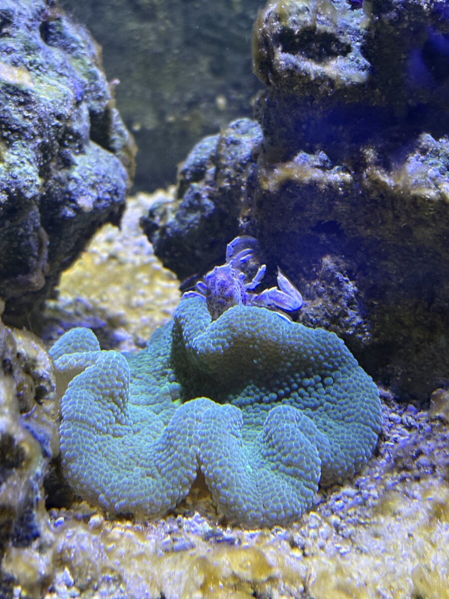 IMG_3346.jpeg
