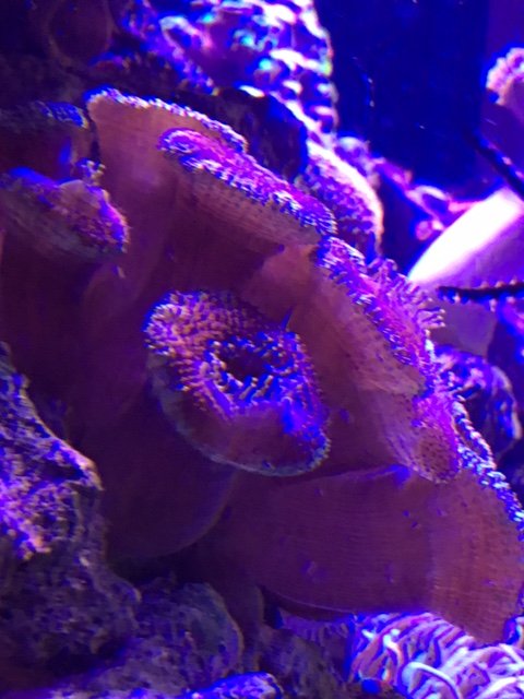 IMG_3346.JPG