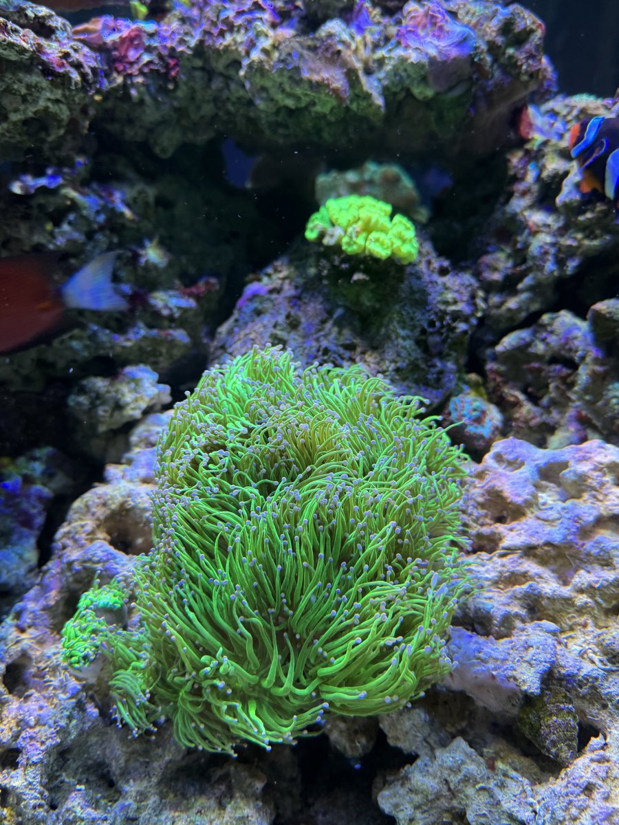 IMG_3347.jpeg