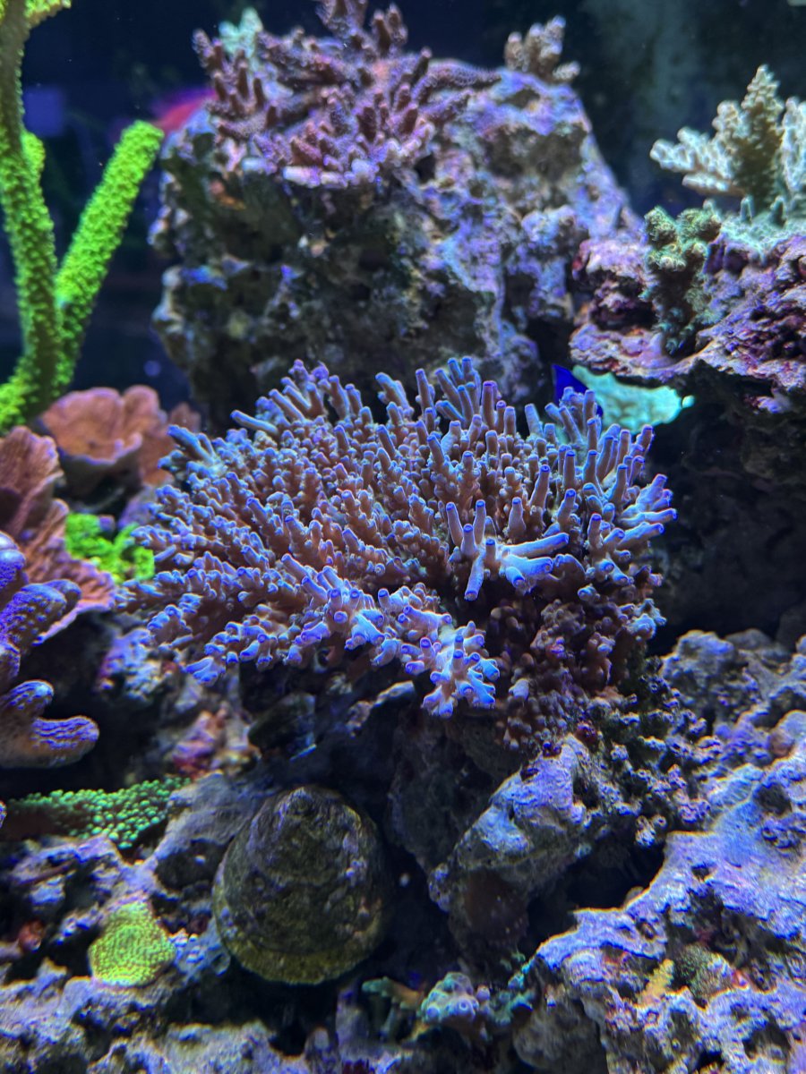 IMG_3350.jpeg