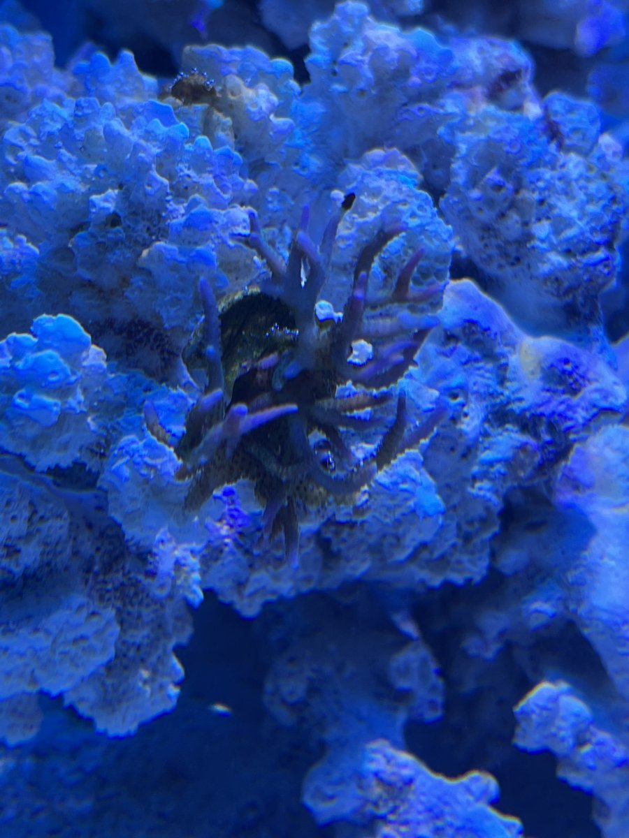 IMG_3352.jpeg