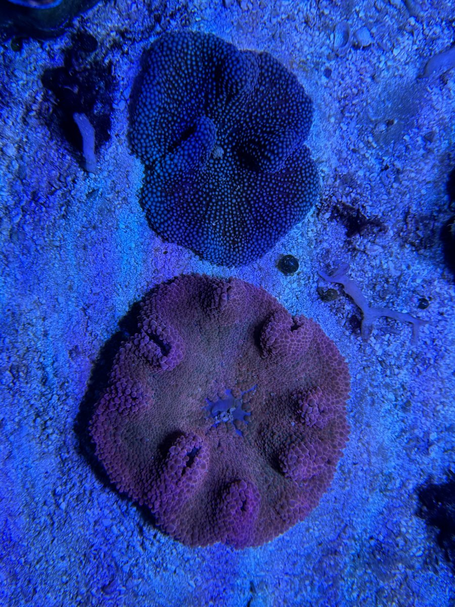 IMG_3359.jpeg