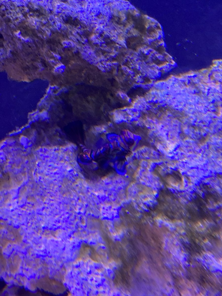 IMG_3387.jpeg