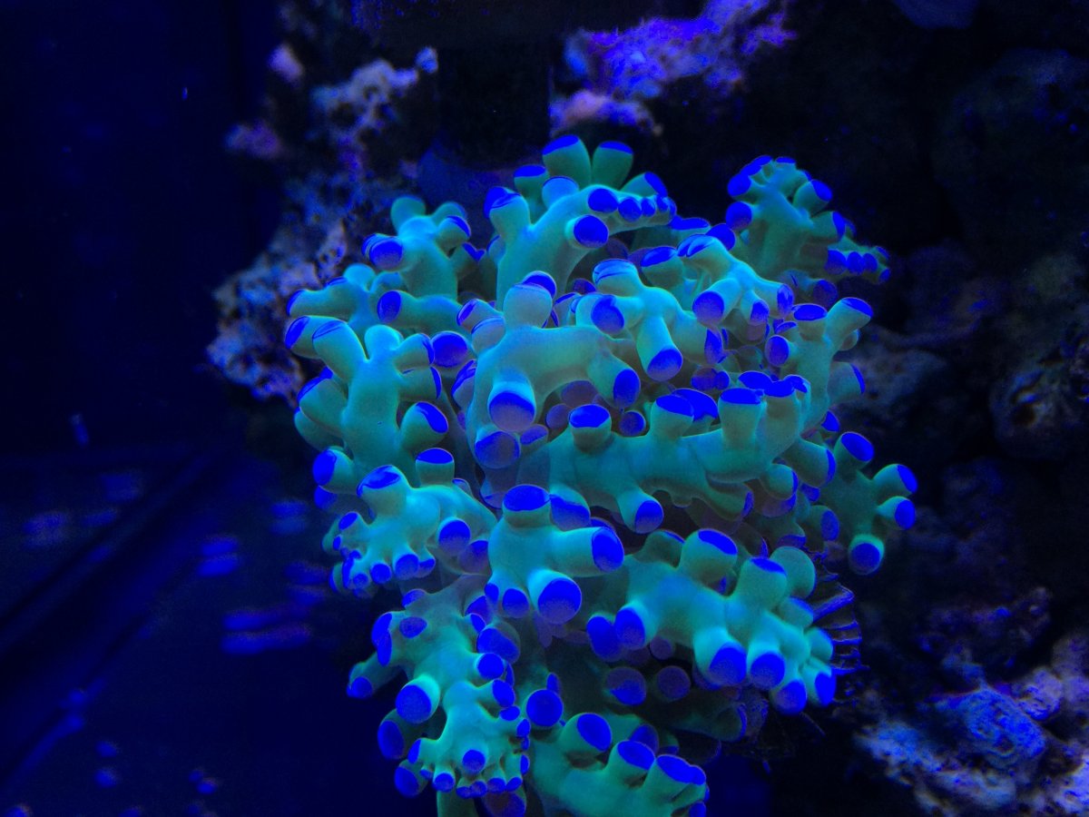 IMG_3389.JPG