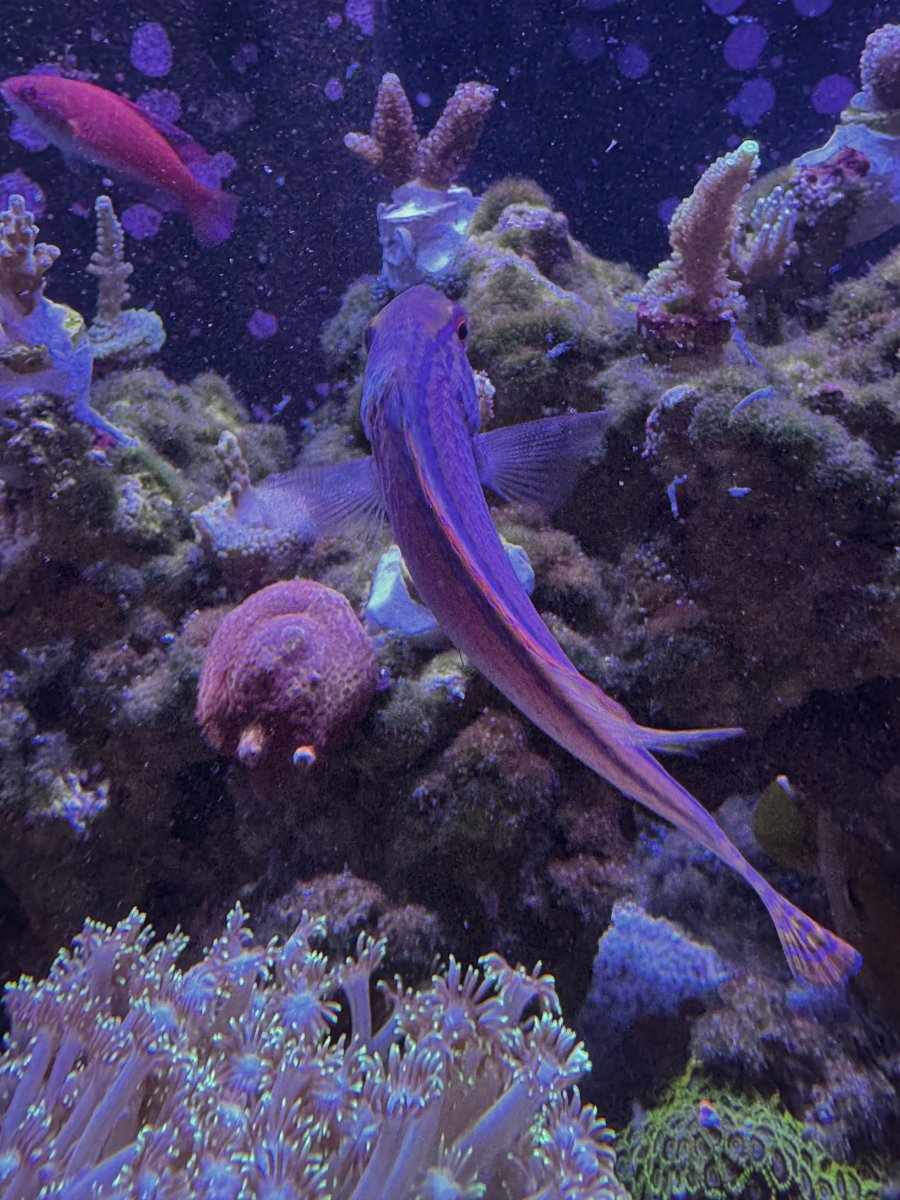 IMG_3395.jpeg