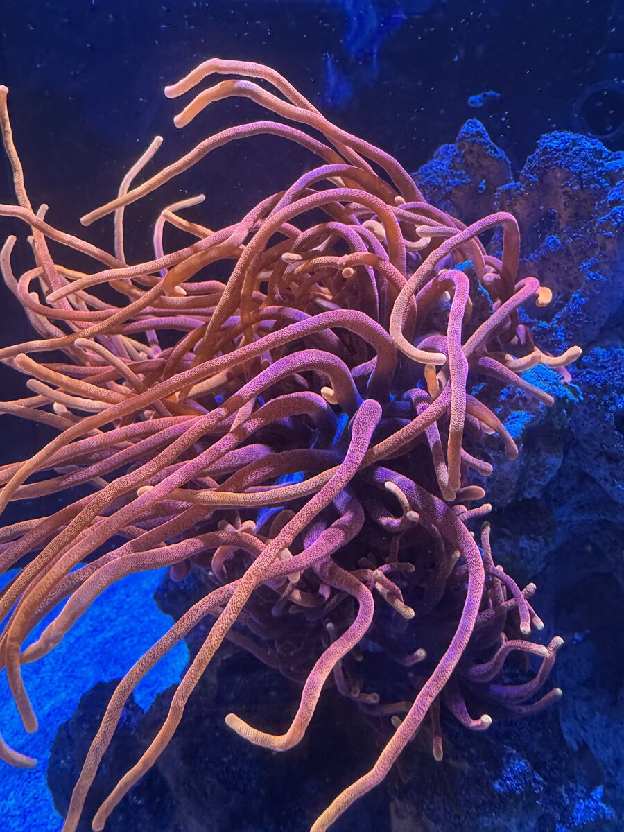 IMG_3395.jpeg