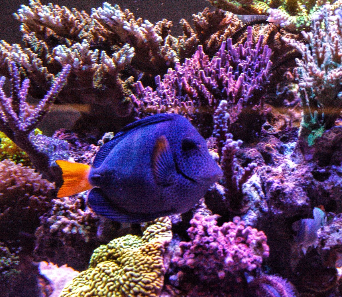 IMG_3406-01.jpeg