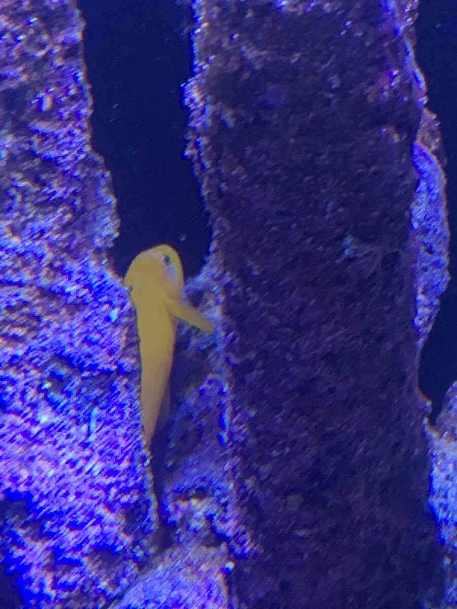 IMG_3418.jpeg