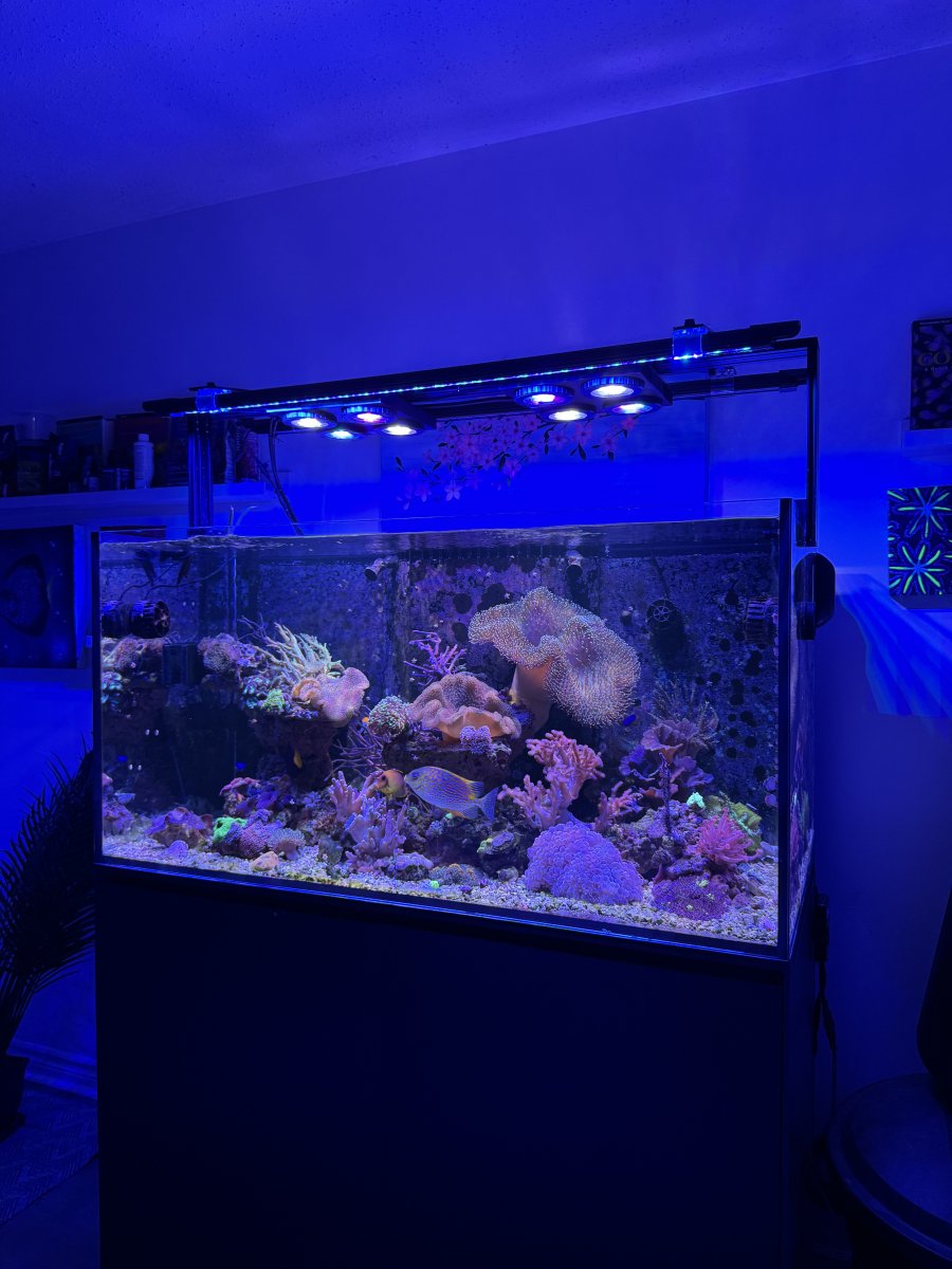IMG_3420.jpeg