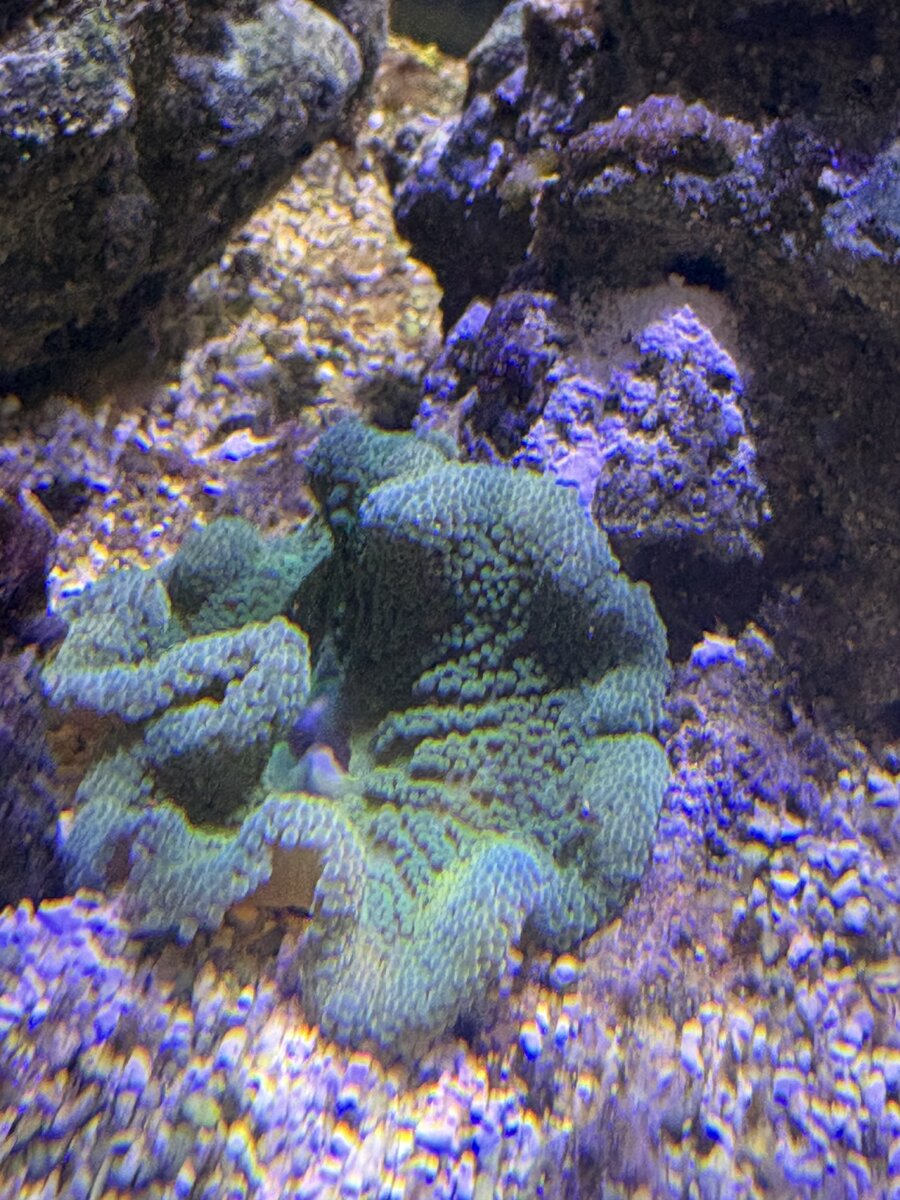 IMG_3429.jpeg
