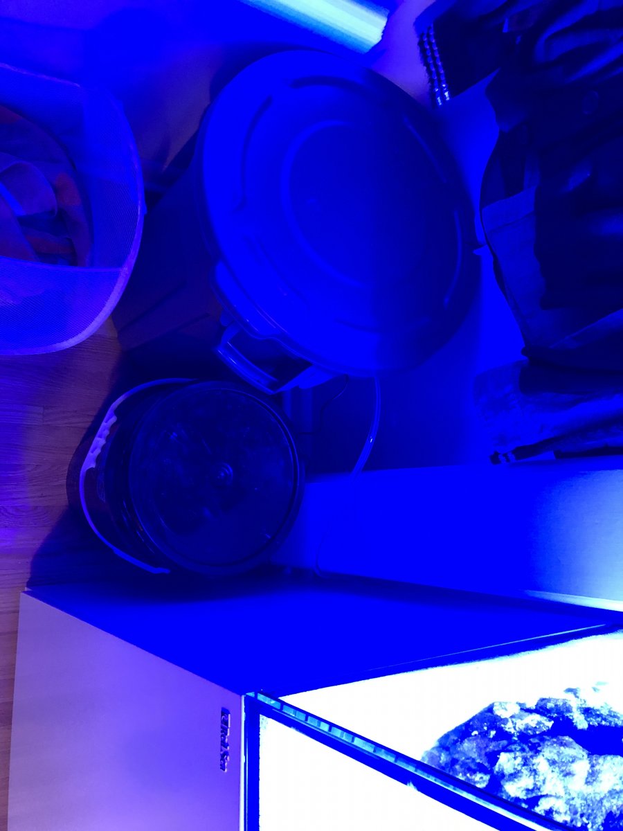IMG_3438.jpeg