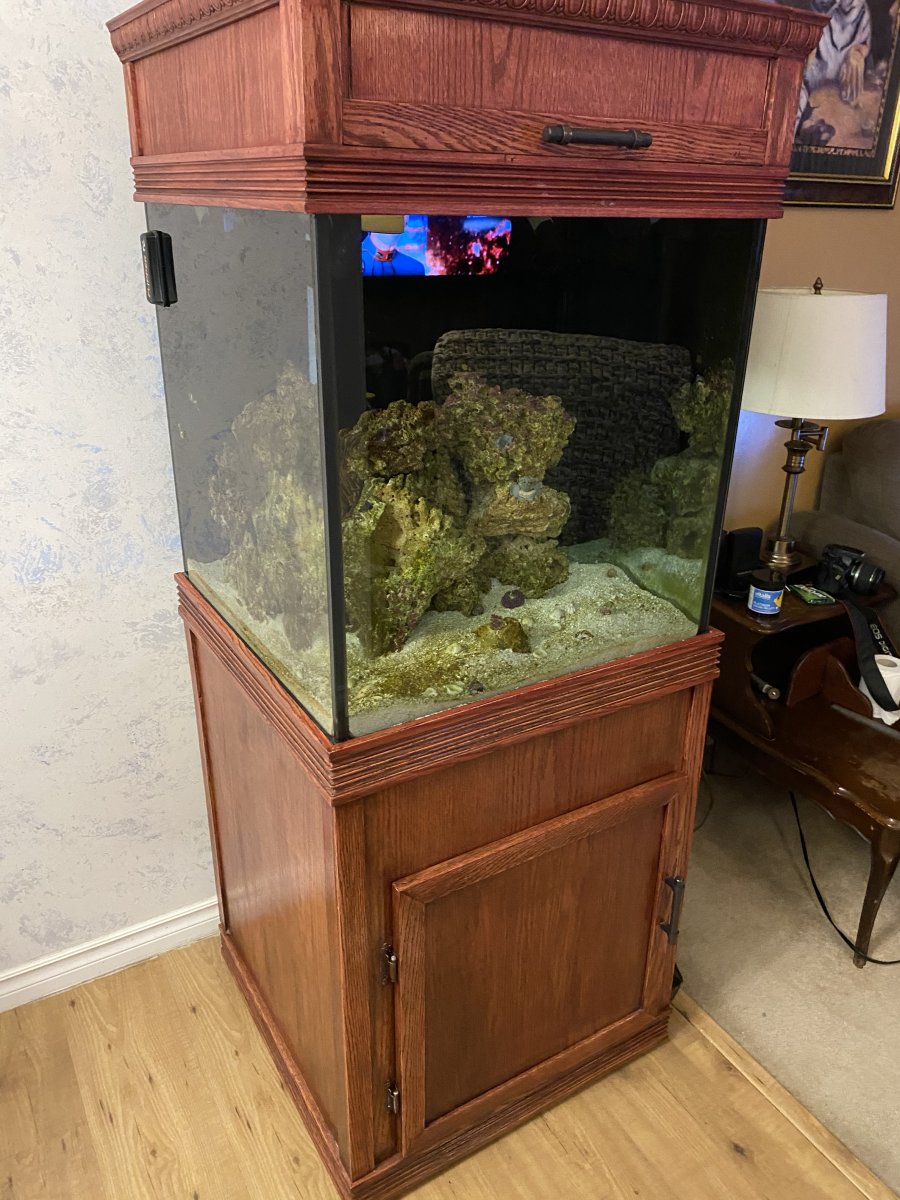 Build Thread - 60 gallon cube  REEF2REEF Saltwater and Reef