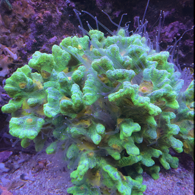 IMG_3440 (1).png