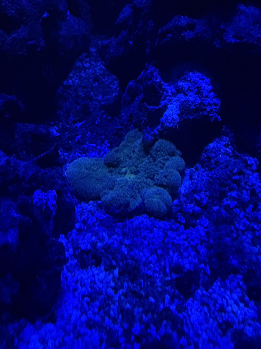 IMG_3454.jpeg