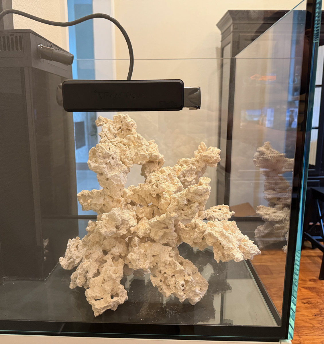 IMG_3455.png