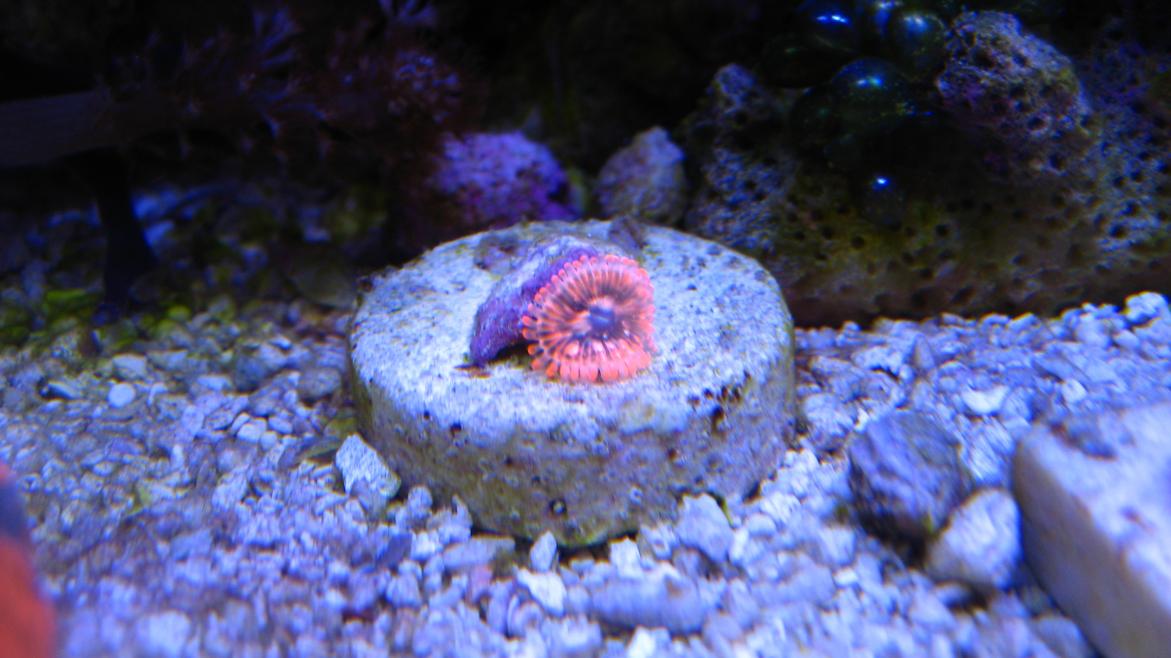 IMG_3458.jpg