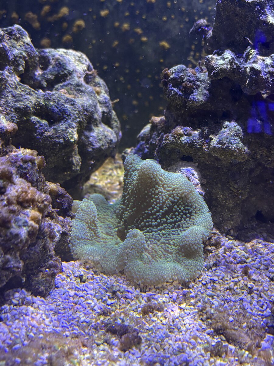 IMG_3461.jpeg