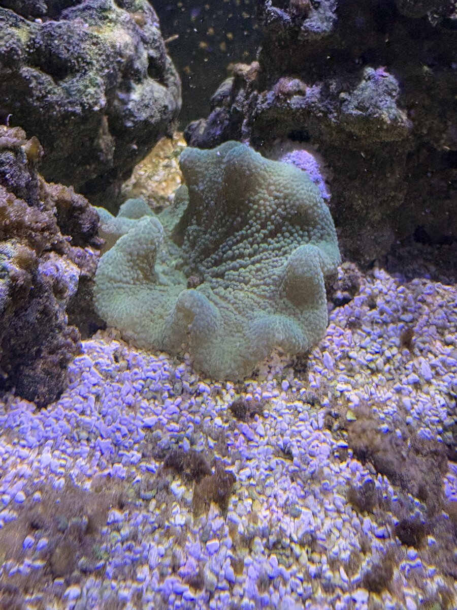 IMG_3463.jpeg