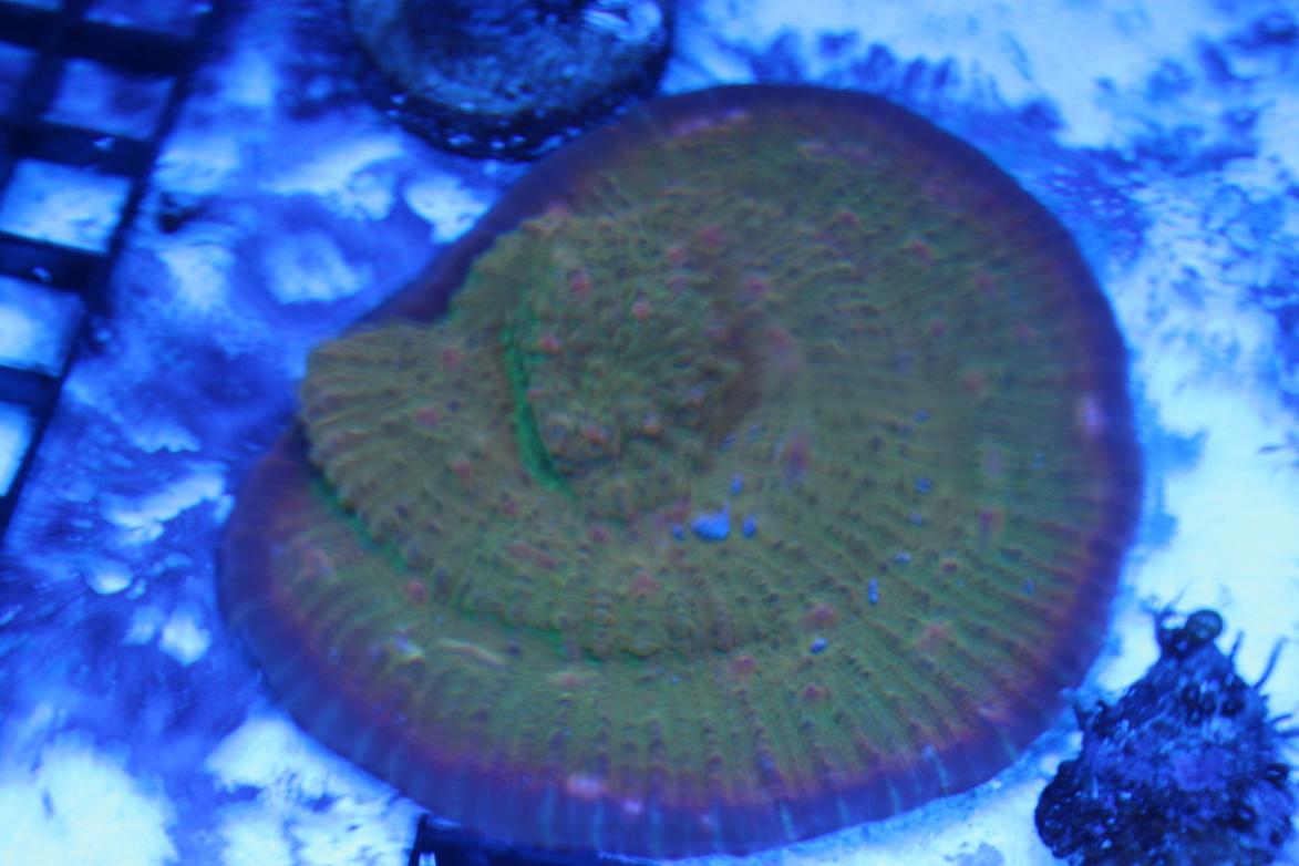 IMG_3464.jpg