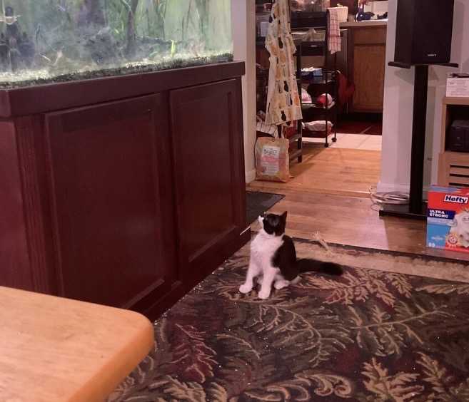 IMG_3469.jpeg