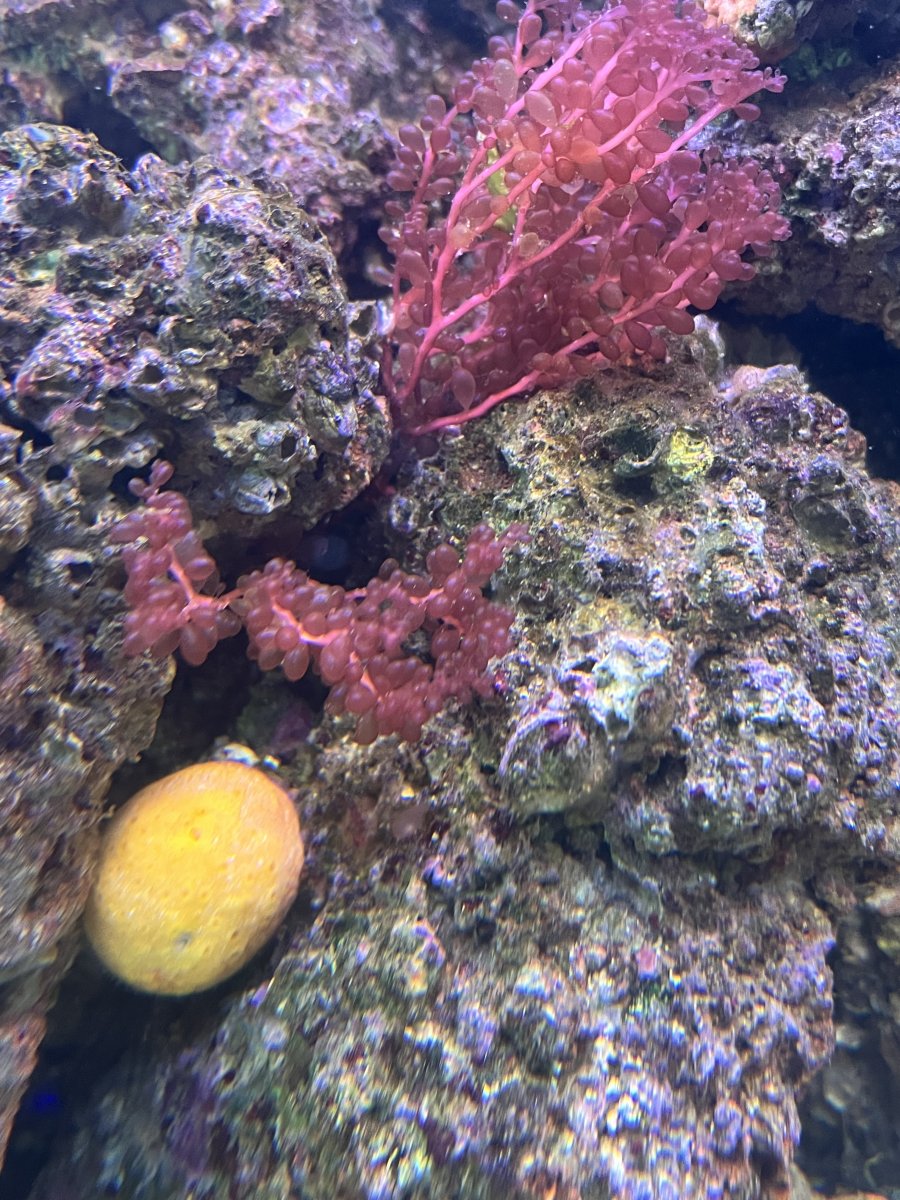 IMG_3470.jpeg
