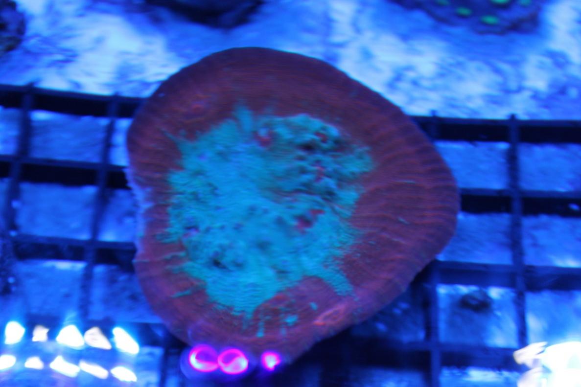 IMG_3472.jpg