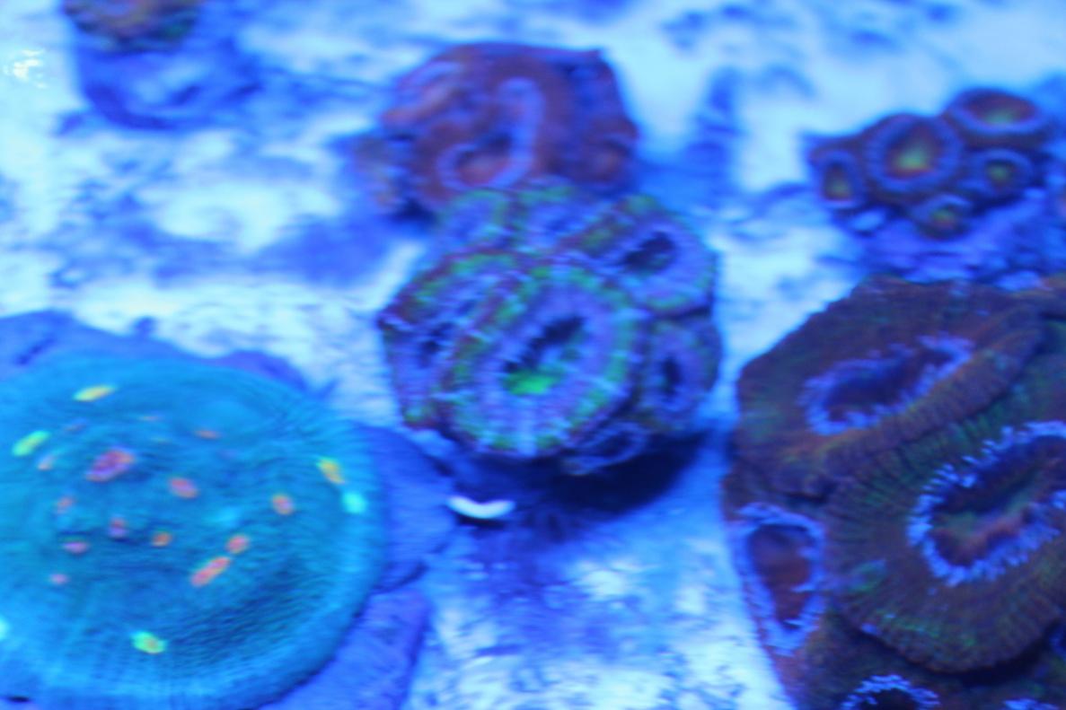 IMG_3474.jpg