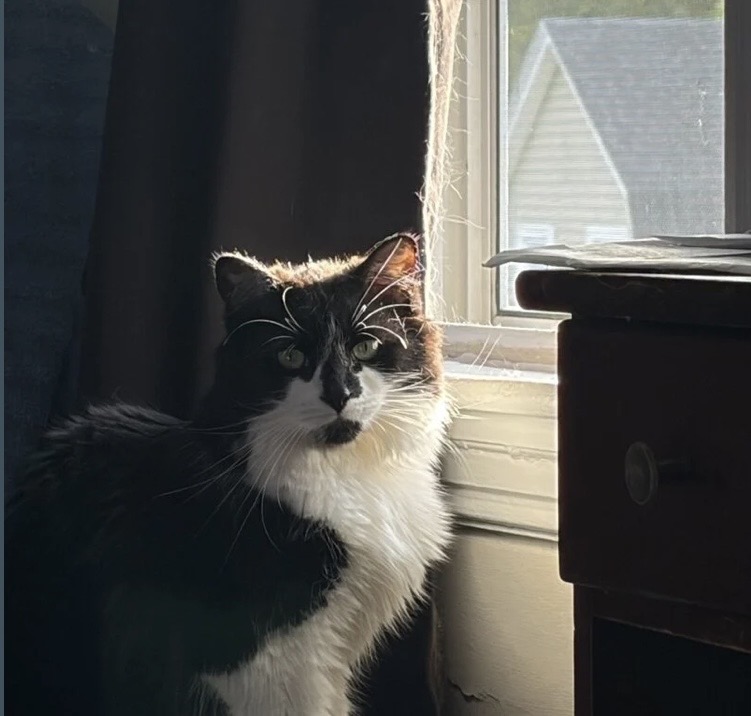 IMG_3477.jpeg