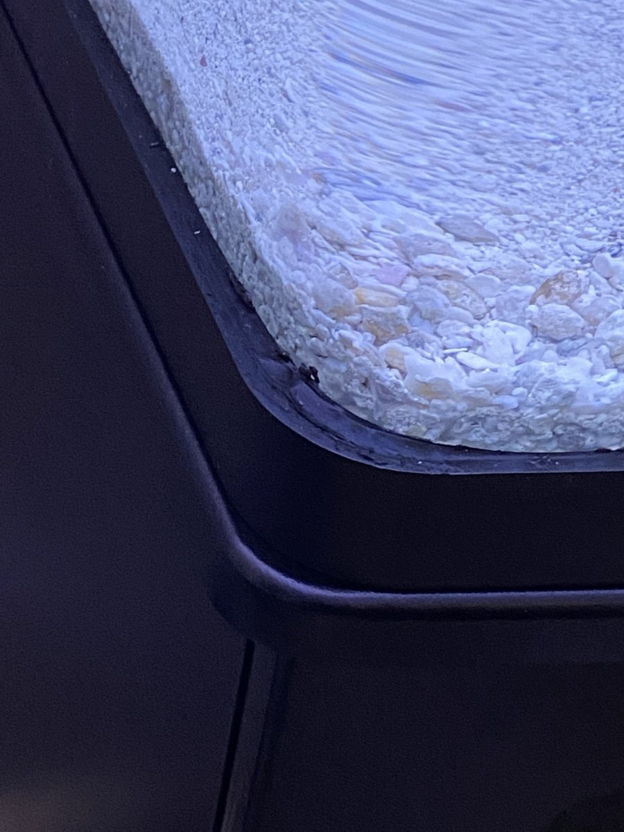 IMG_3490.JPEG