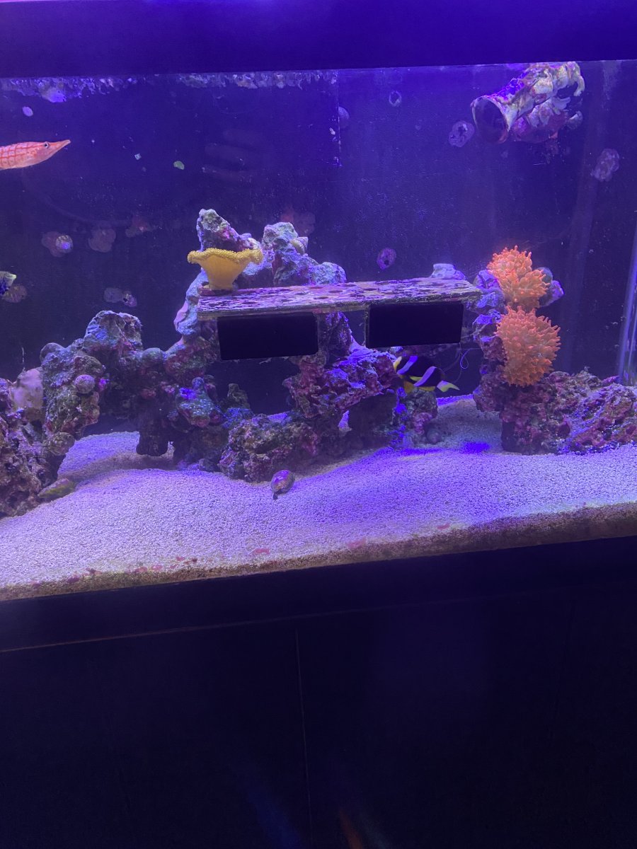 IMG_3491.jpeg