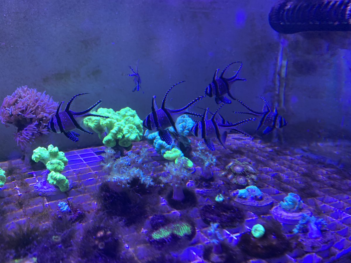 IMG_3507(1).JPEG