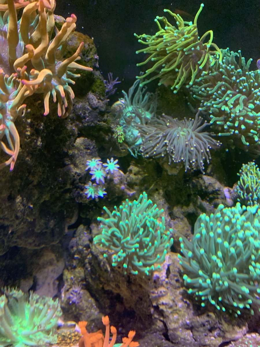 IMG_3510.jpeg