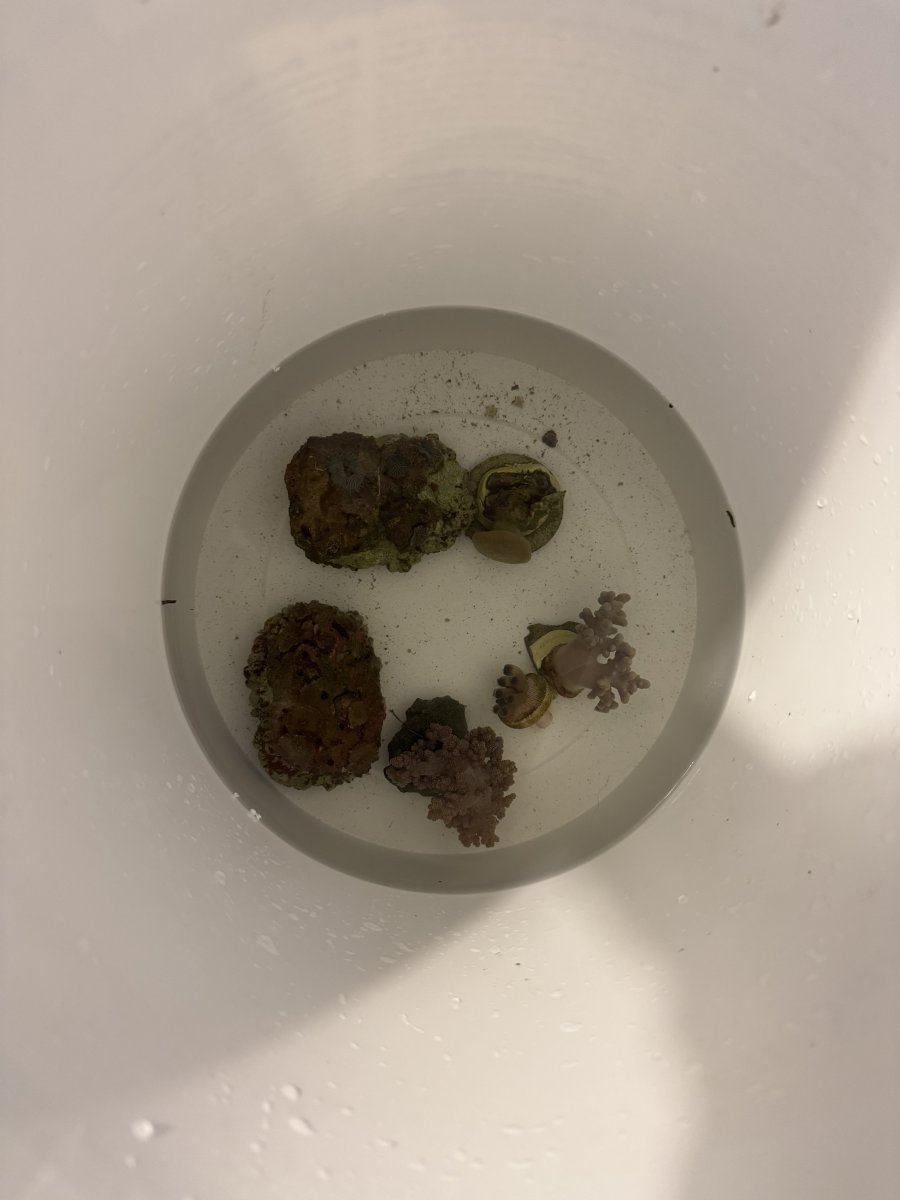 IMG_3514.jpeg