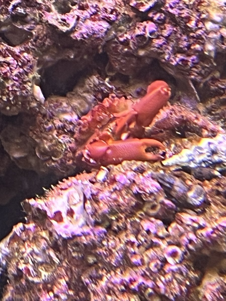 IMG_3517.jpeg