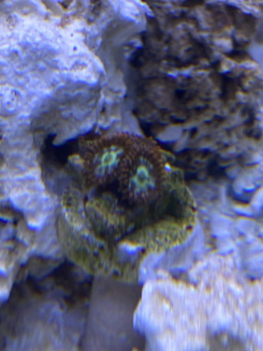 IMG_3522.JPEG