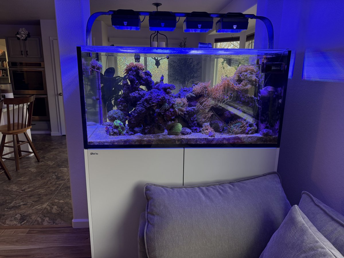 2026 FULL TANK SHOT SHOWOFF! Let's see your FTS for 2026! | Page 2 ...