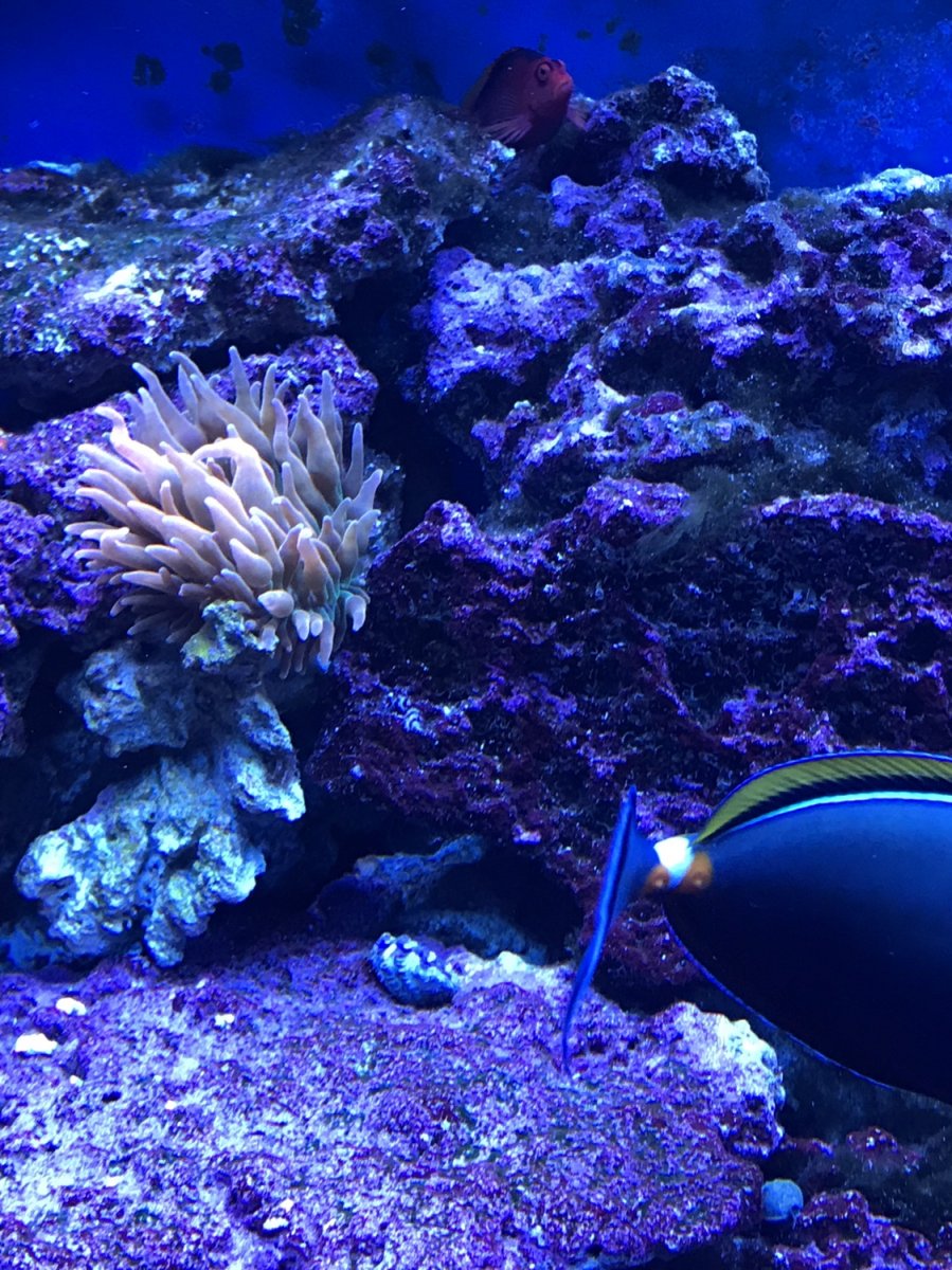 IMG_3527.JPG