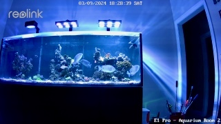 IMG_3528.jpeg
