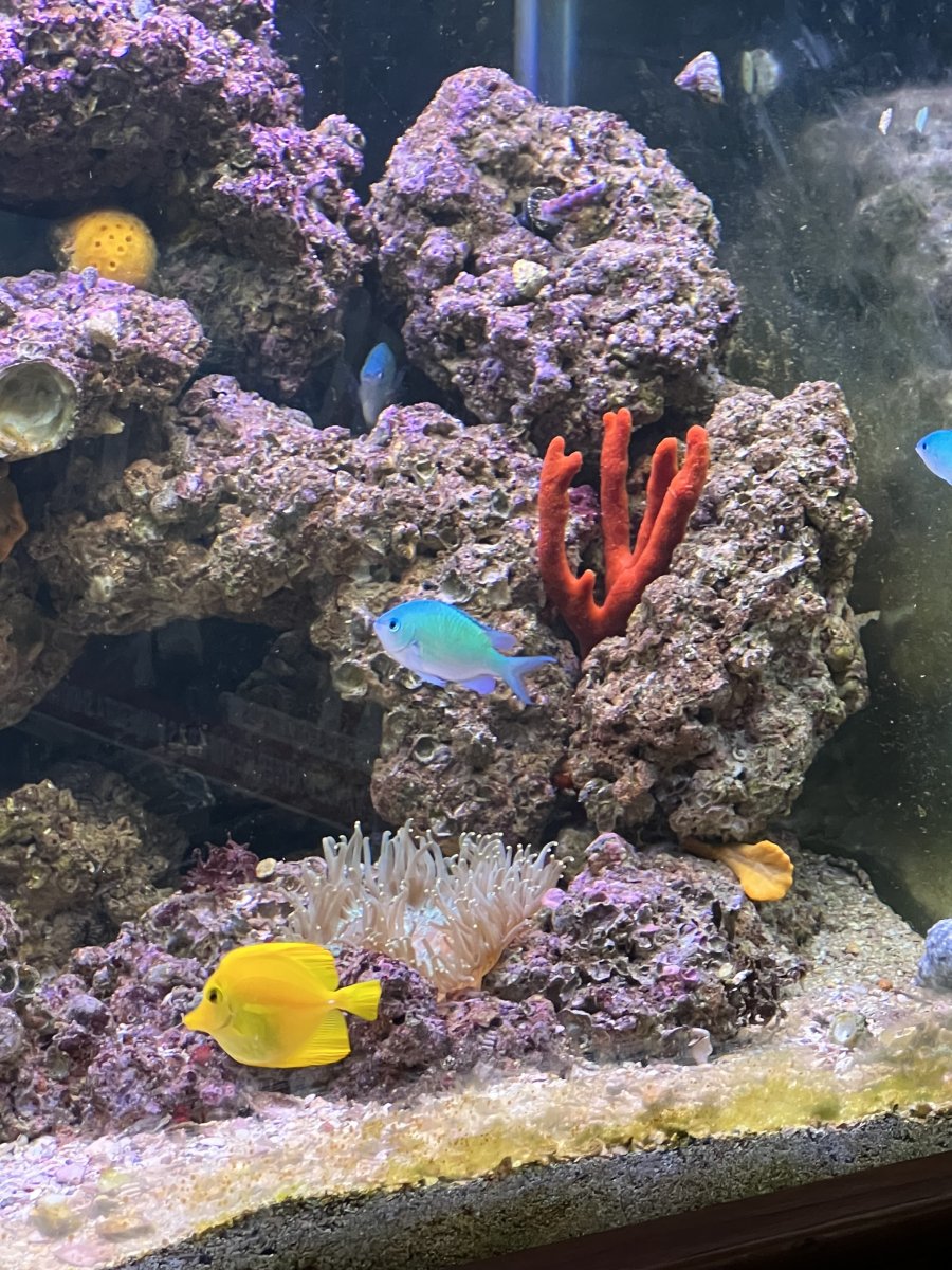 IMG_3530.jpeg