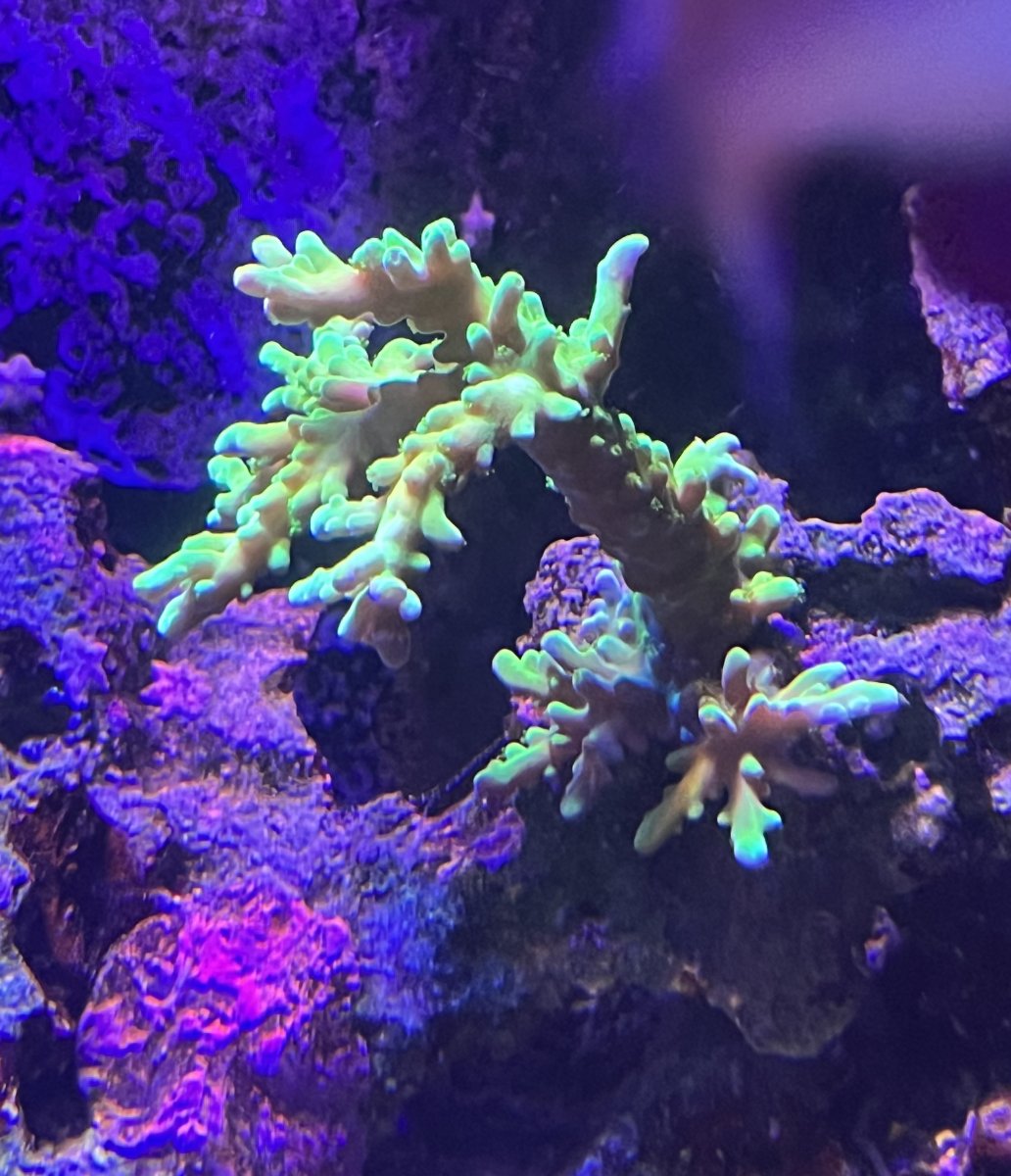 IMG_3531.jpeg
