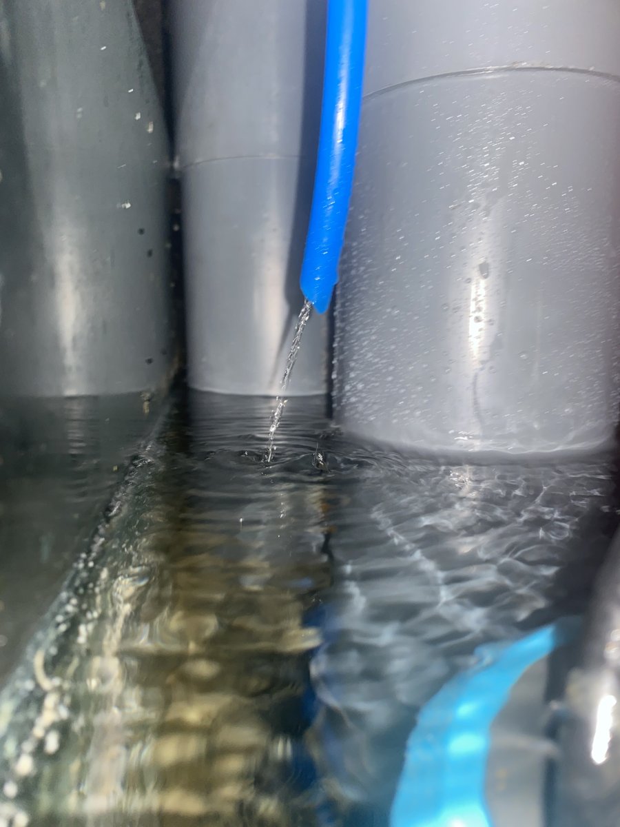 IMG_3531.jpeg