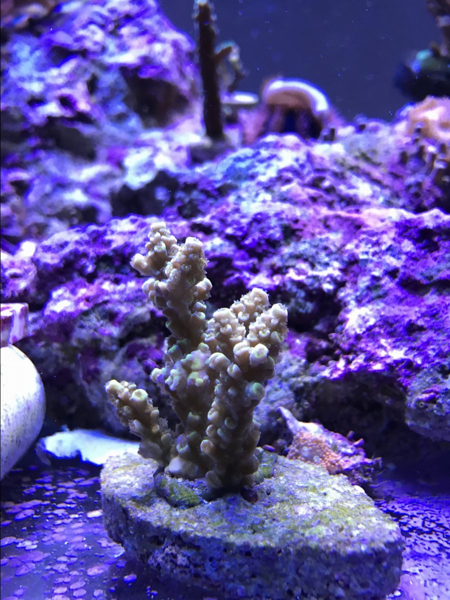 IMG_3548.JPG